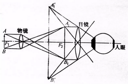 【干货】金相显微镜介绍